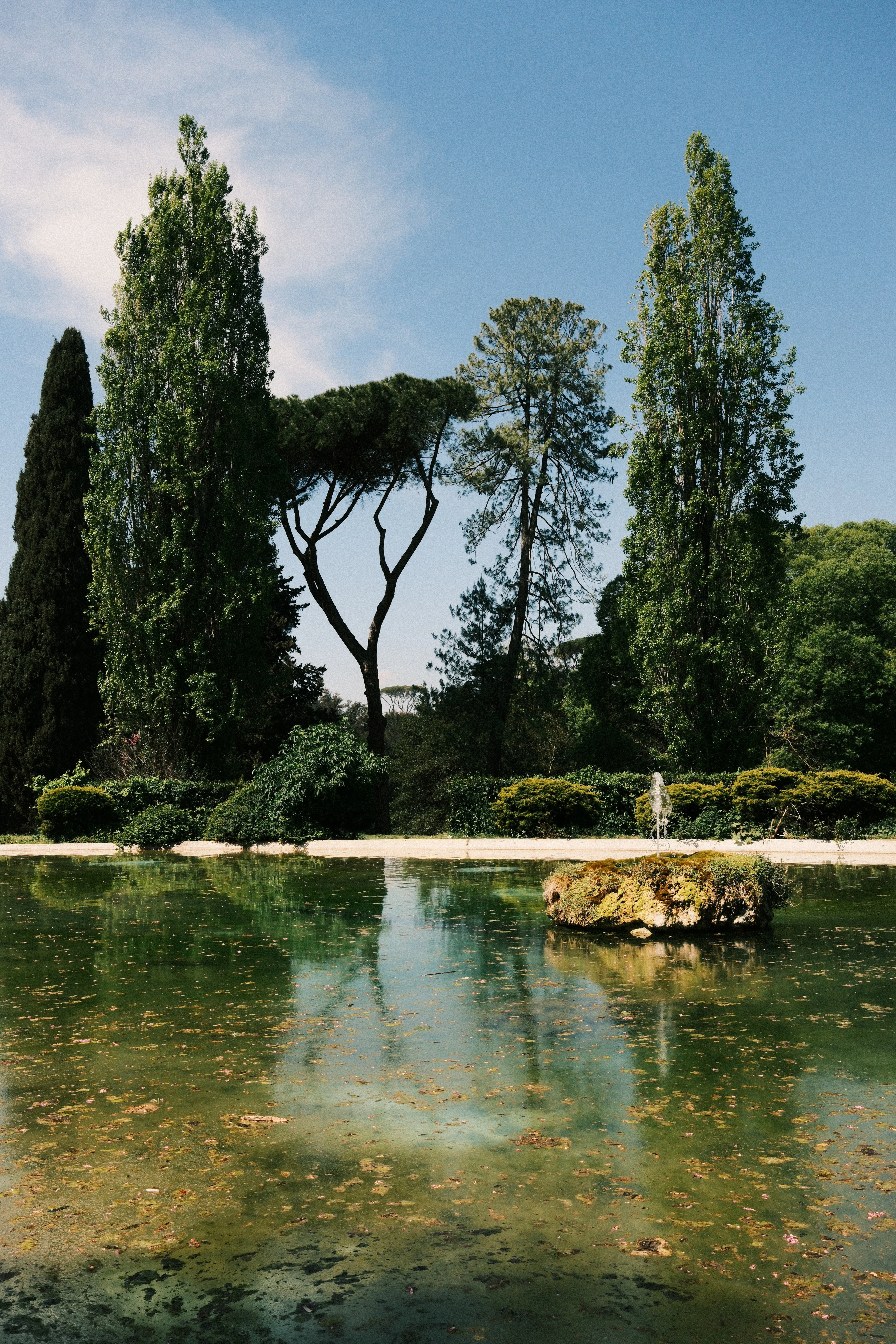 Tall cypresses and a stone pine reflected in a still green pool, with a mossy rock breaking the surface.