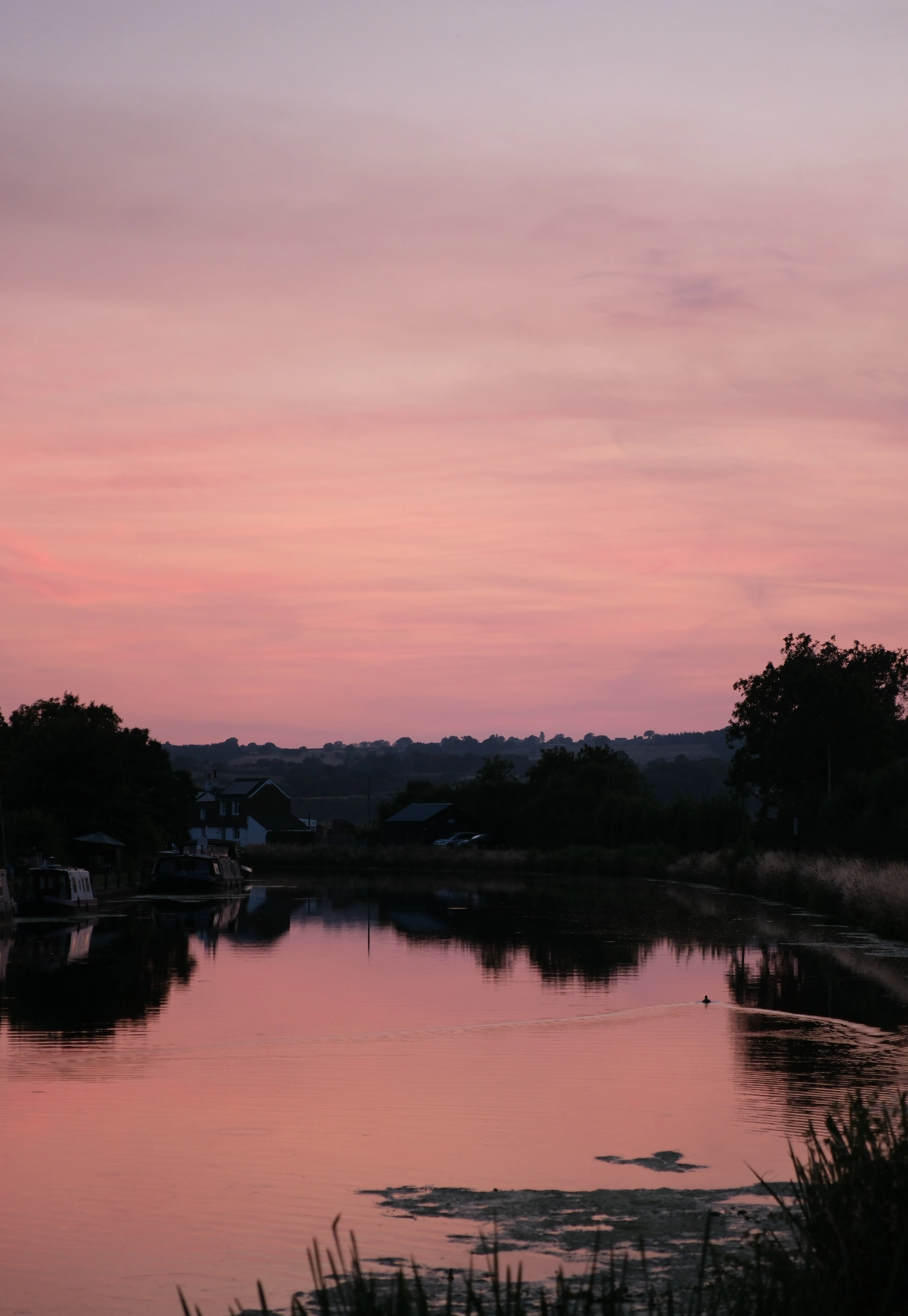Still water reflecting a pink sunset, with a dark treeline and a few boats along the far bank.