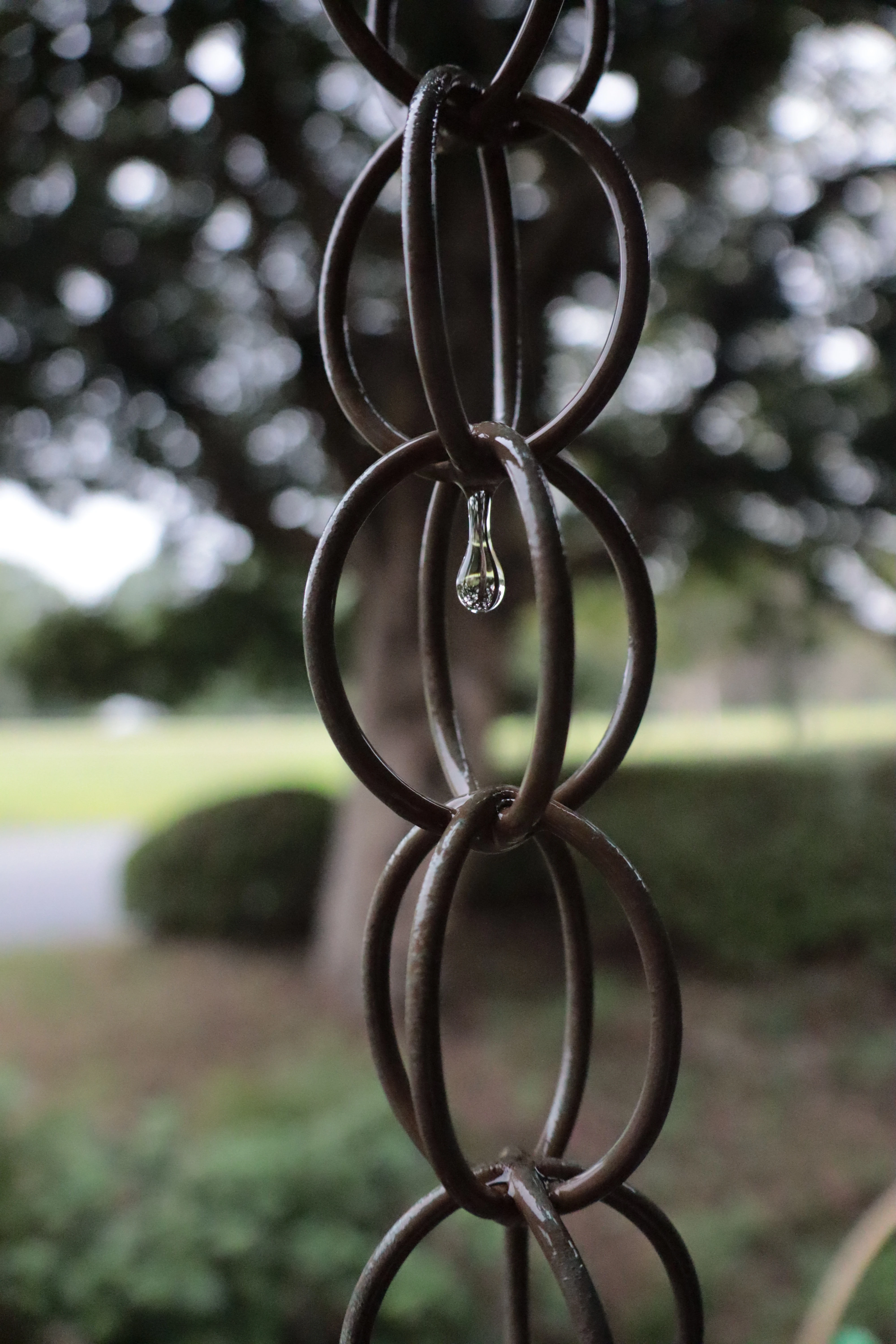 A single water droplet held in the loop of an iron rain chain, with a garden soft behind it.